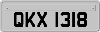 QKX1318