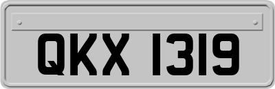 QKX1319