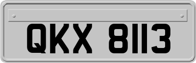 QKX8113