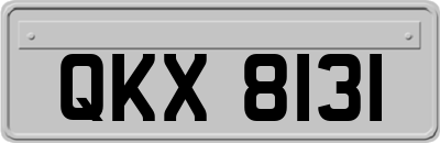QKX8131