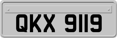 QKX9119