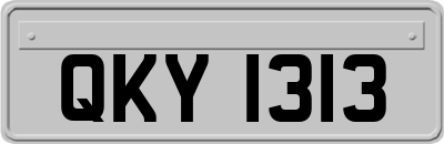 QKY1313