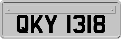 QKY1318