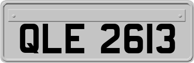 QLE2613