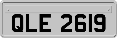 QLE2619