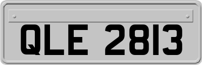 QLE2813