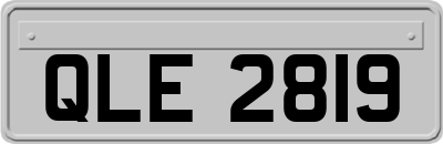 QLE2819