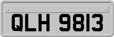 QLH9813