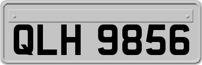 QLH9856