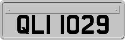 QLI1029