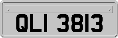 QLI3813