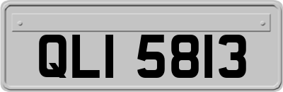 QLI5813