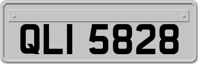 QLI5828