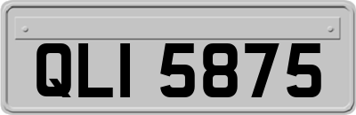 QLI5875