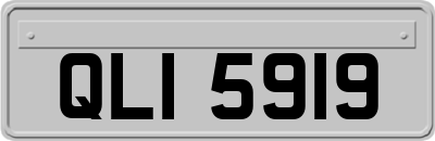 QLI5919