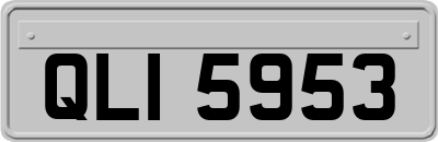 QLI5953