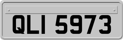 QLI5973