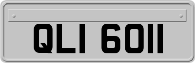 QLI6011