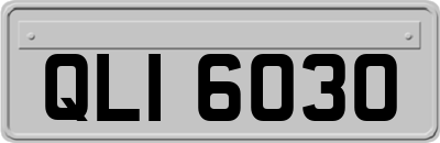 QLI6030