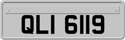 QLI6119