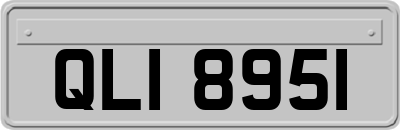 QLI8951