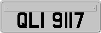 QLI9117