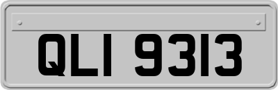 QLI9313