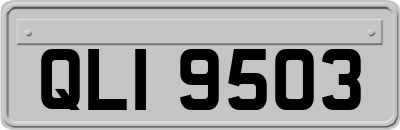 QLI9503