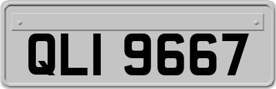 QLI9667