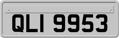 QLI9953