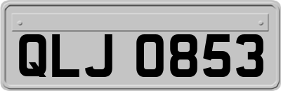 QLJ0853