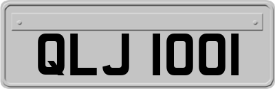 QLJ1001