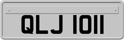 QLJ1011