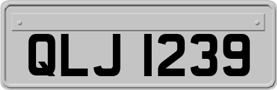 QLJ1239