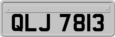 QLJ7813