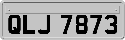 QLJ7873