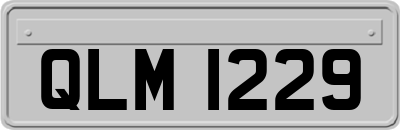 QLM1229