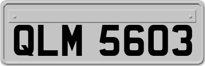 QLM5603