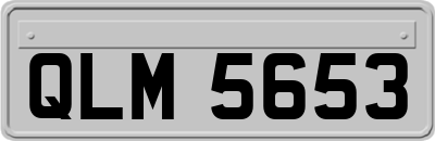 QLM5653