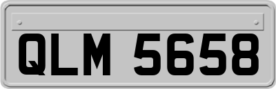 QLM5658