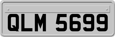 QLM5699