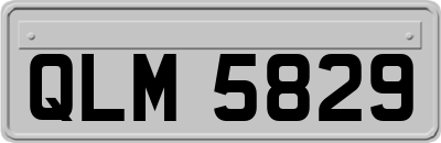 QLM5829