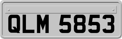 QLM5853