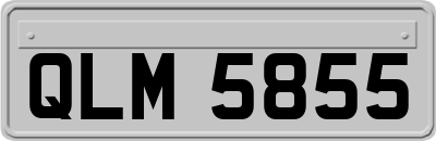 QLM5855