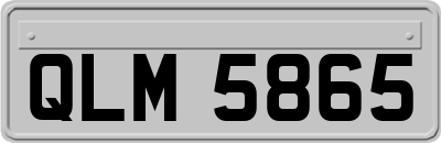 QLM5865