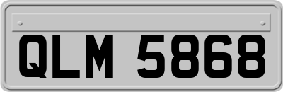 QLM5868