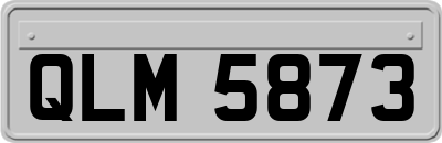 QLM5873