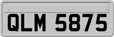 QLM5875