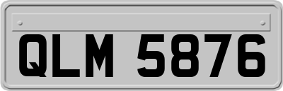 QLM5876