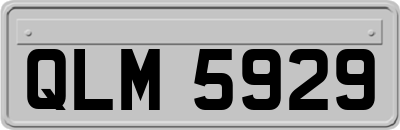 QLM5929